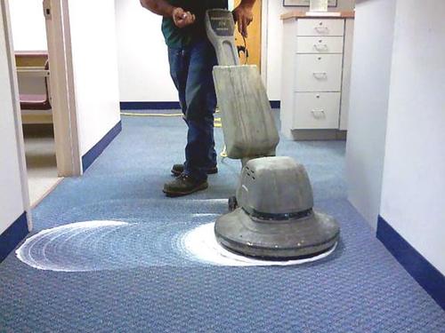 carpet shampooing
