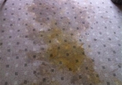 carpet-before