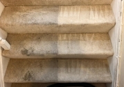 carpet-cleaning-11