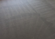 clean-carpet-in-room