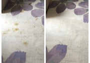 feaces-stain-removal