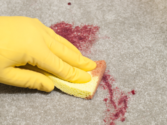carpet cleaning